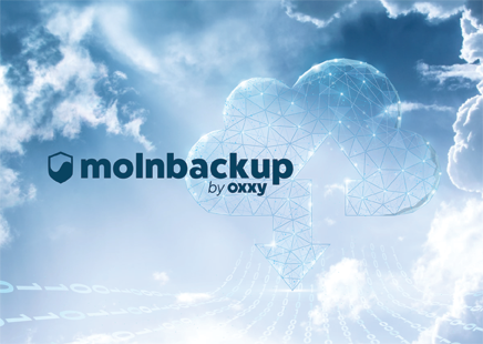 Molnbackup 100 GB